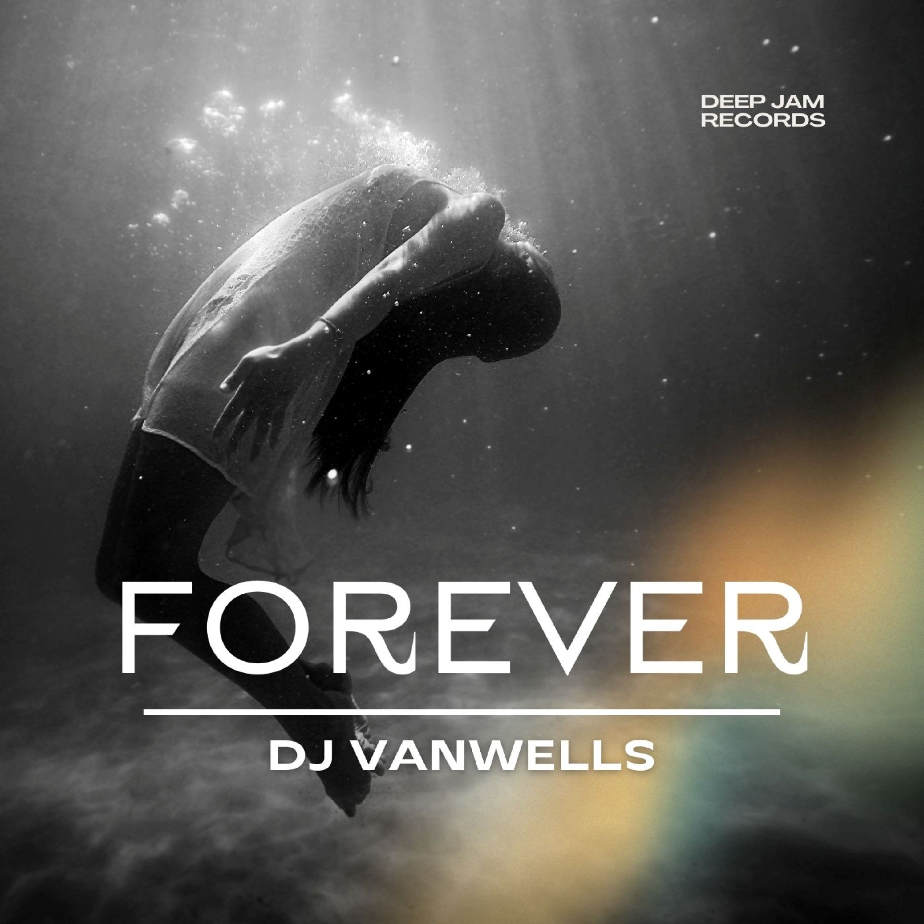 Dj Vanwells Artist